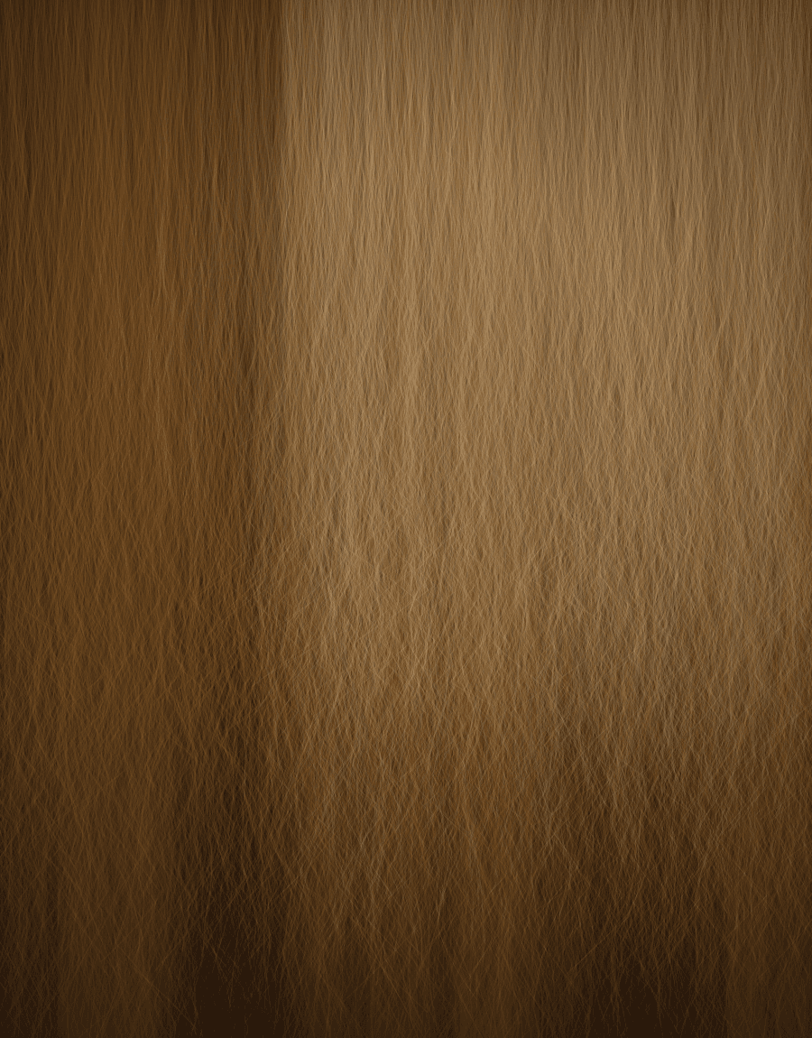 Modelka HairMarket